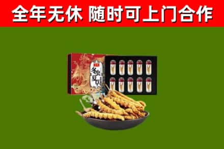 密山回收冬虫夏草价格